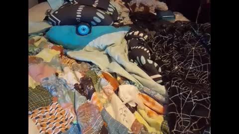 zero online show from September 16, 6:55 pm