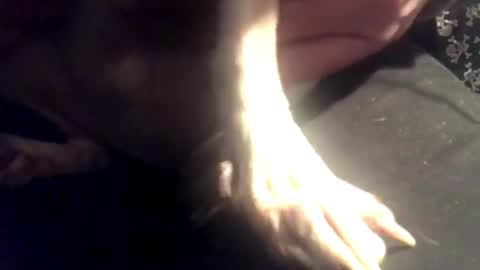 zero online show from March 7, 8:13 am