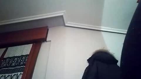 zigor13 online show from February 6, 8:55 pm