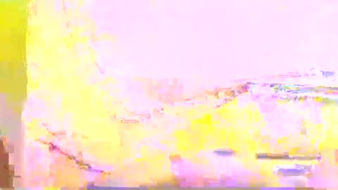 zippy001 online show from December 7, 11:34 am