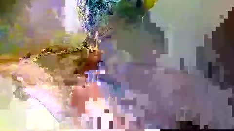 zippy001 online show from December 6, 11:28 am