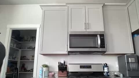 ZJ online show from March 12, 10:35 pm