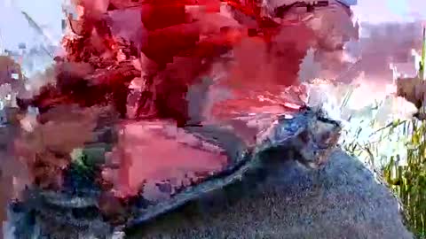 zoeoved92 online show from September 29, 11:04 pm