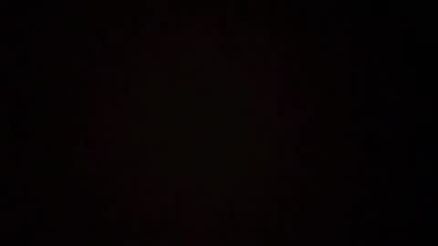 zoozdxb online show from January 17, 7:55 pm