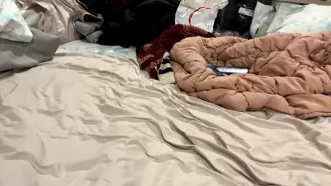 zyph_kohl online show from October 30, 7:09 am